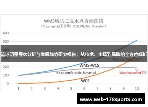 篮球明星层次分析与发展趋势研究报告：从技术、市场到品牌的全方位解析
