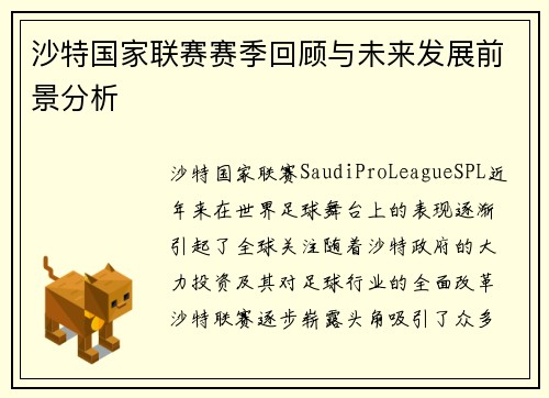 沙特国家联赛赛季回顾与未来发展前景分析