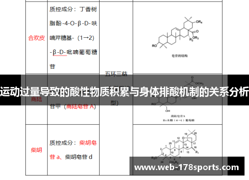 运动过量导致的酸性物质积累与身体排酸机制的关系分析